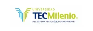Cliente de Constructora Merek